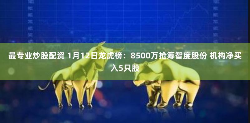 最专业炒股配资 1月12日龙虎榜：8500万抢筹智度股份 机构净买入5只股