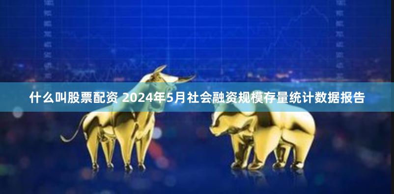 什么叫股票配资 2024年5月社会融资规模存量统计数据报告